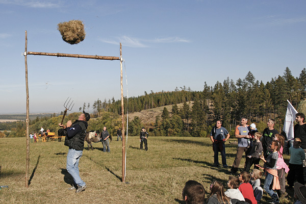 21_mikolajice2012